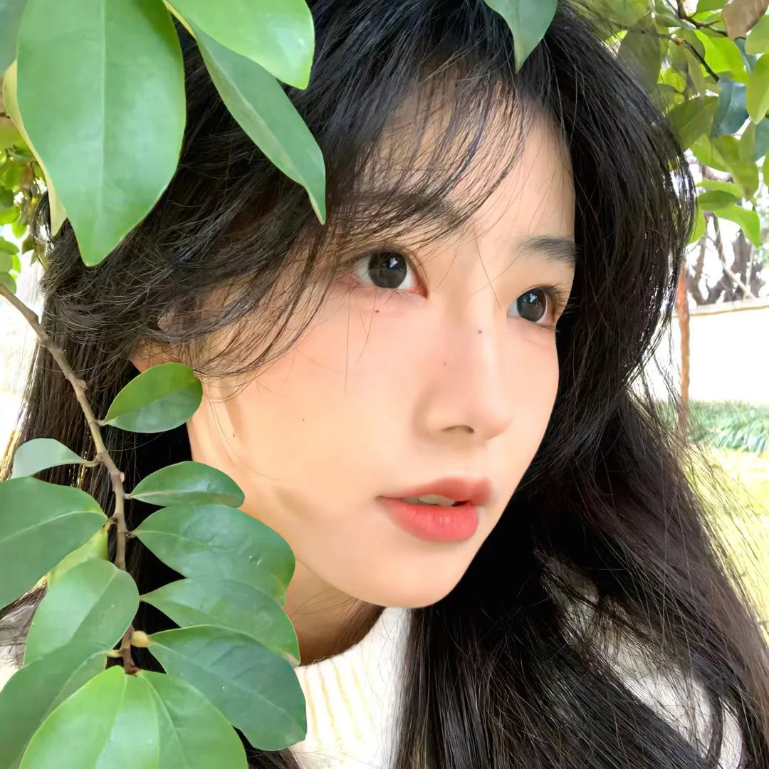 风骚女子 第一季